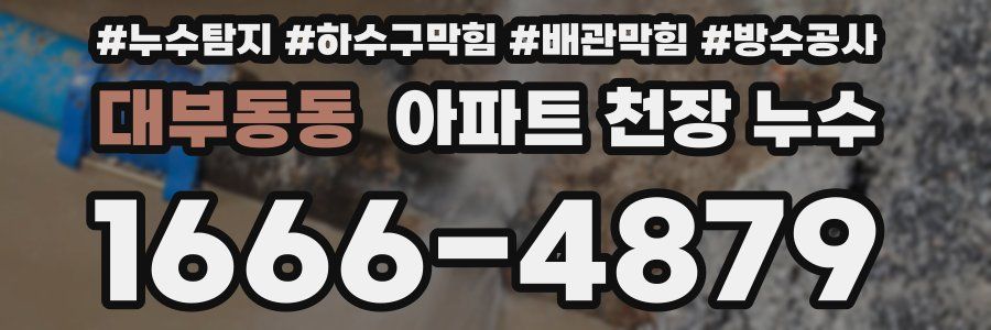 대부동동 아파트 천장 누수