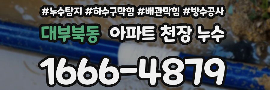 대부북동 아파트 천장 누수