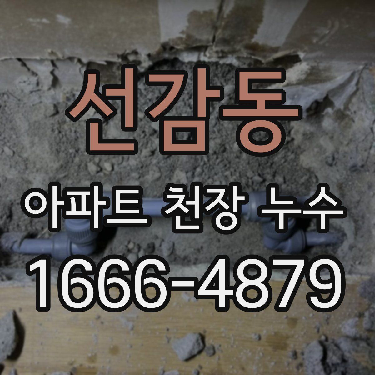 선감동 아파트 천장 누수