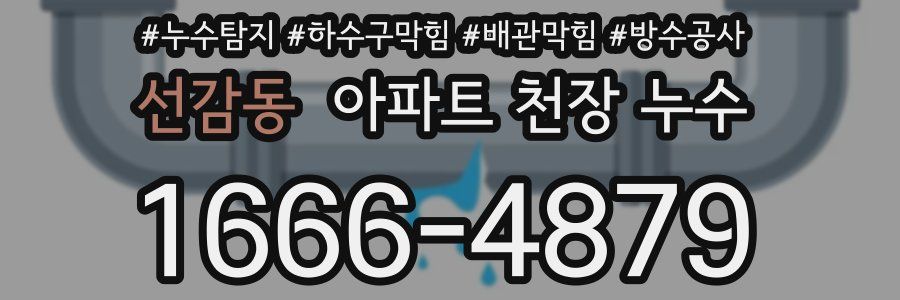 선감동 아파트 천장 누수