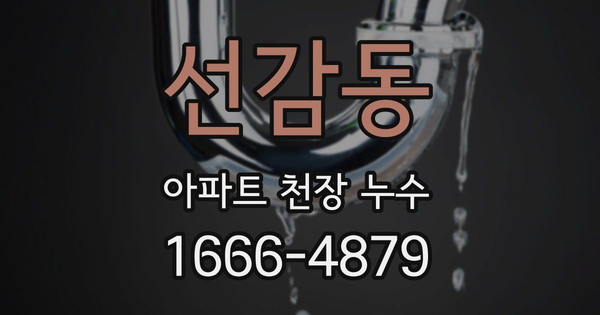 선감동 아파트 천장 누수