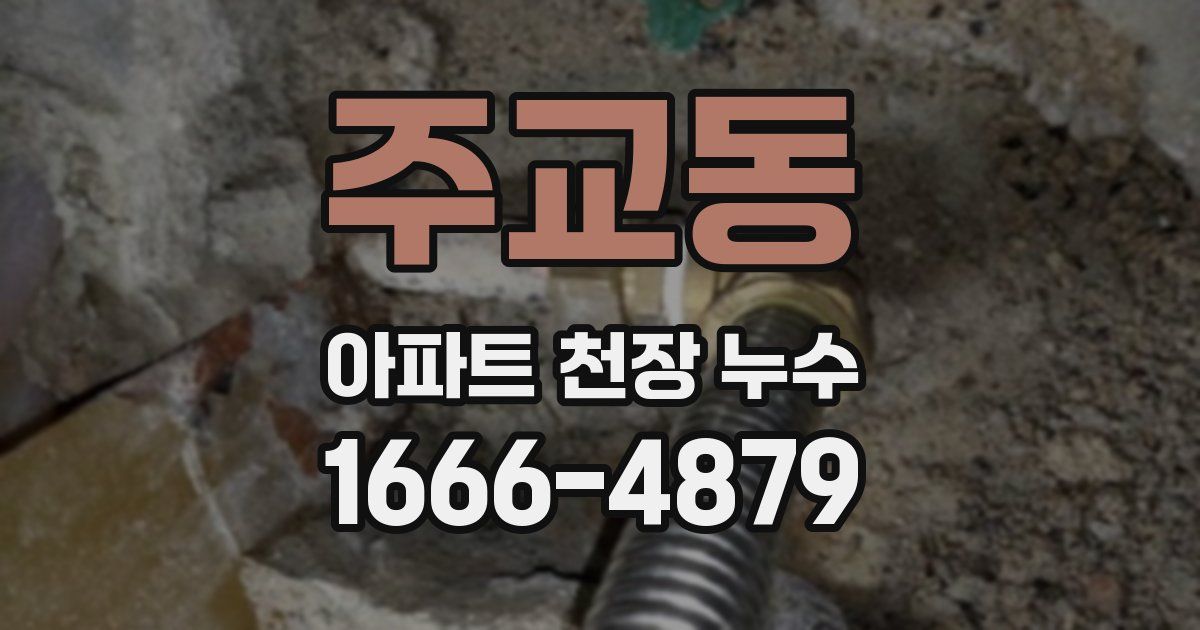 주교동 아파트 천장 누수