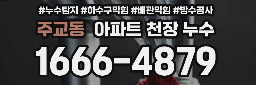 주교동 아파트 천장 누수