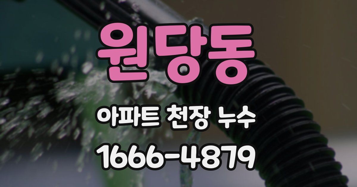 원당동 아파트 천장 누수