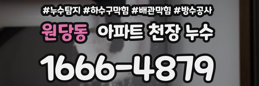 원당동 아파트 천장 누수