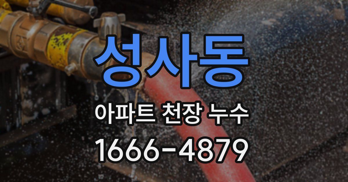 성사동 아파트 천장 누수
