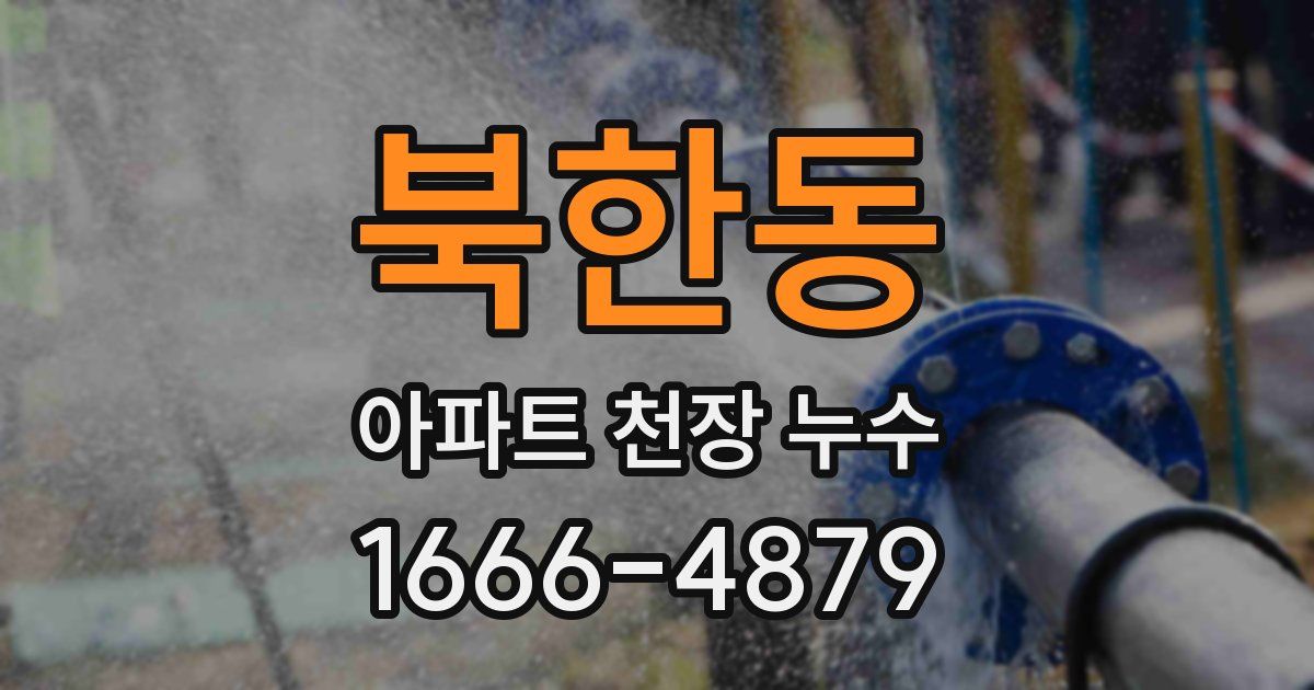 북한동 아파트 천장 누수