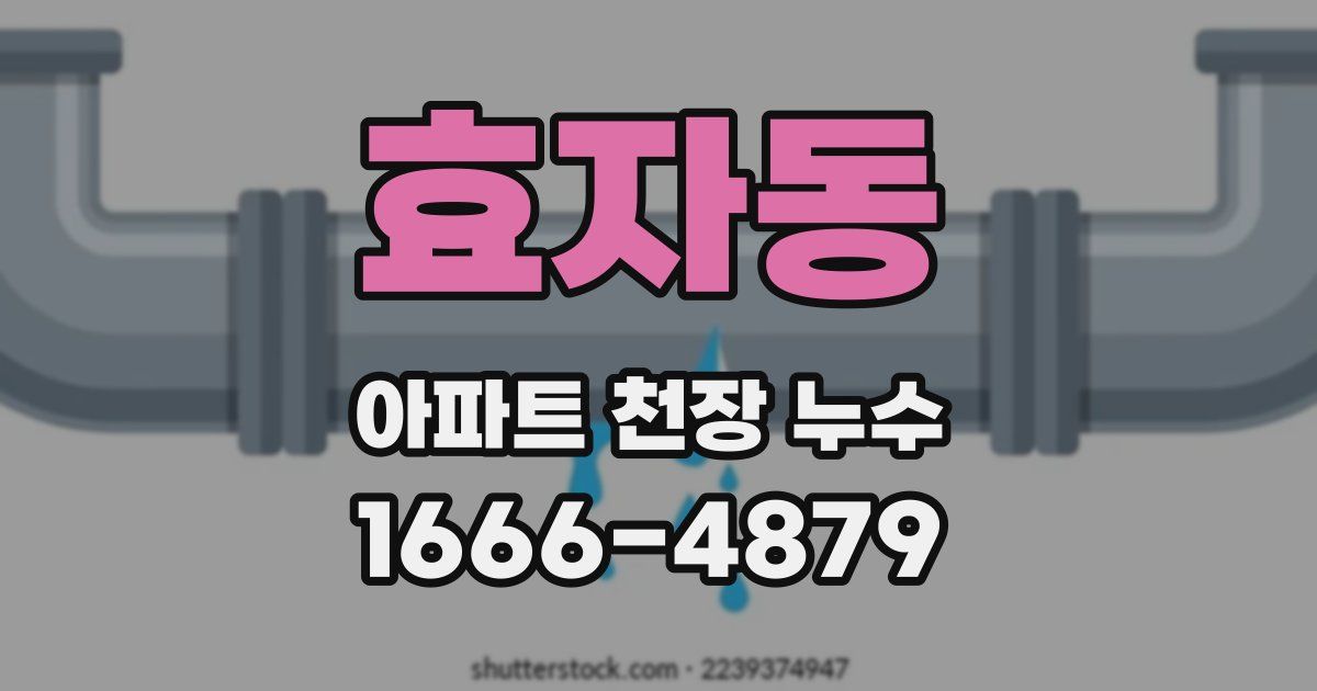 효자동 아파트 천장 누수