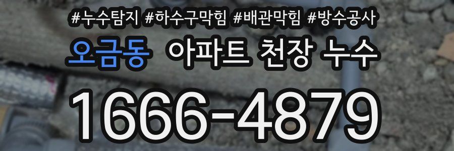오금동 아파트 천장 누수