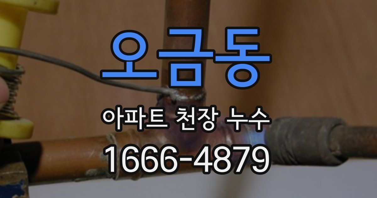 오금동 아파트 천장 누수
