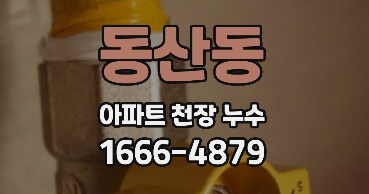 동산동 아파트 천장 누수