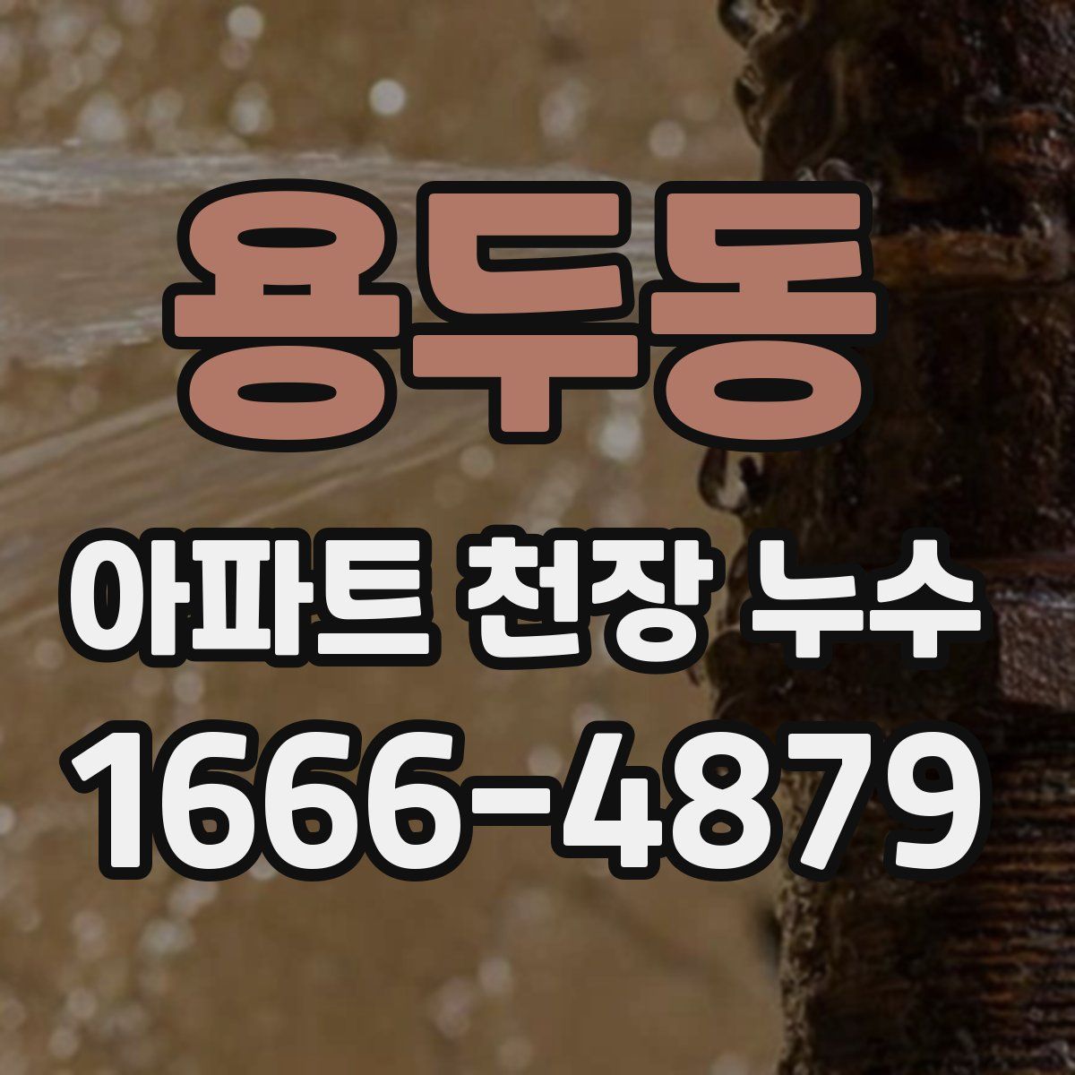 용두동 아파트 천장 누수
