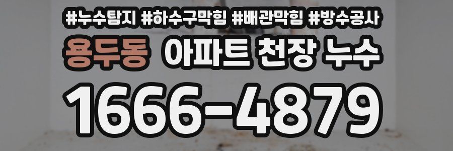 용두동 아파트 천장 누수