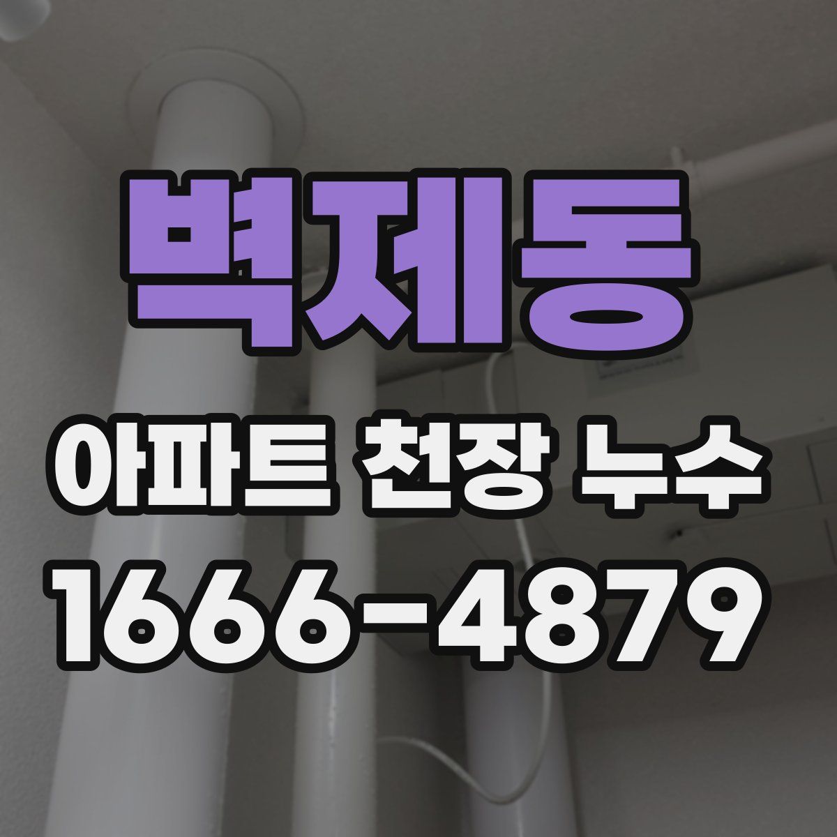 벽제동 아파트 천장 누수