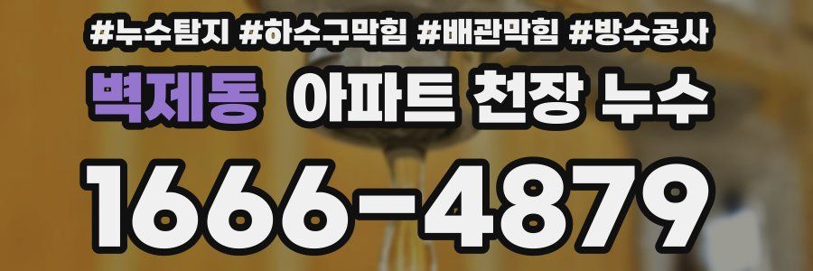 벽제동 아파트 천장 누수