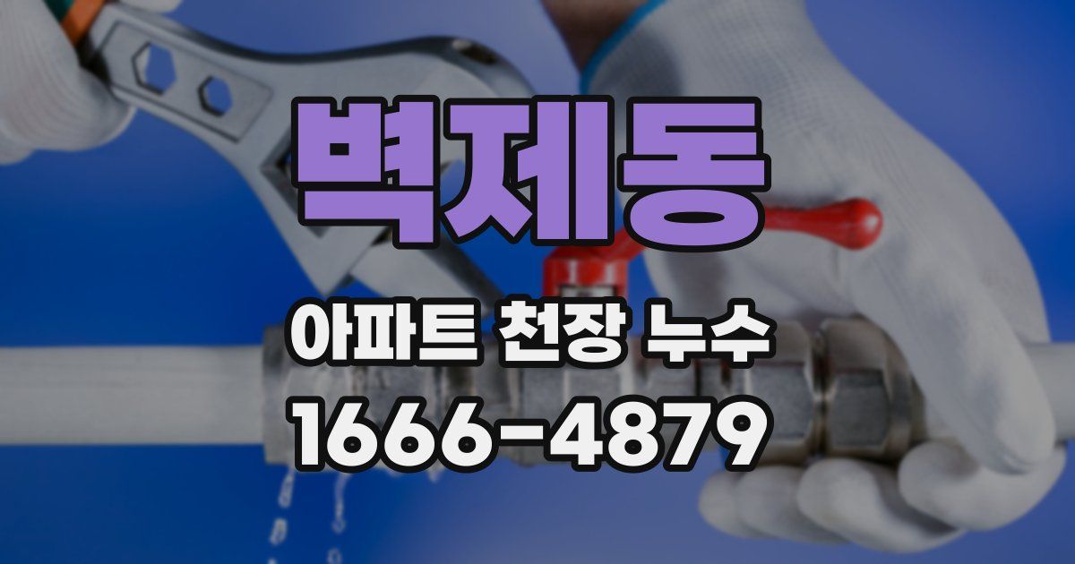 벽제동 아파트 천장 누수