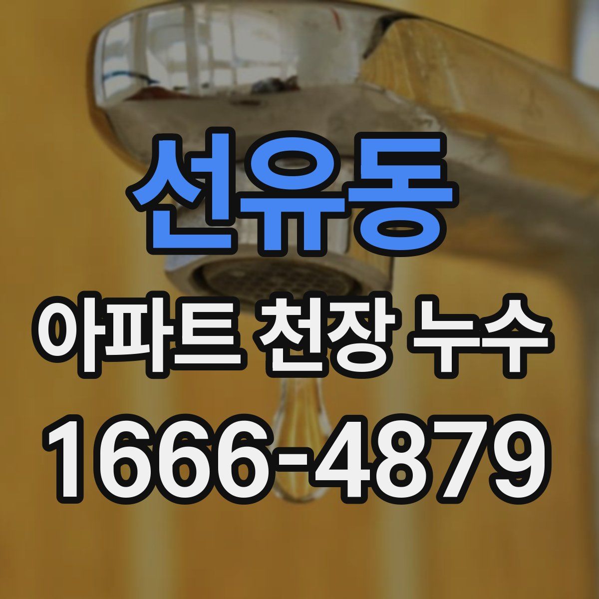 선유동 아파트 천장 누수