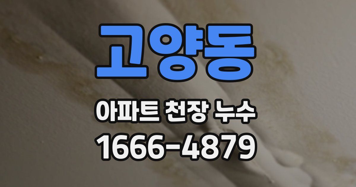 고양동 아파트 천장 누수