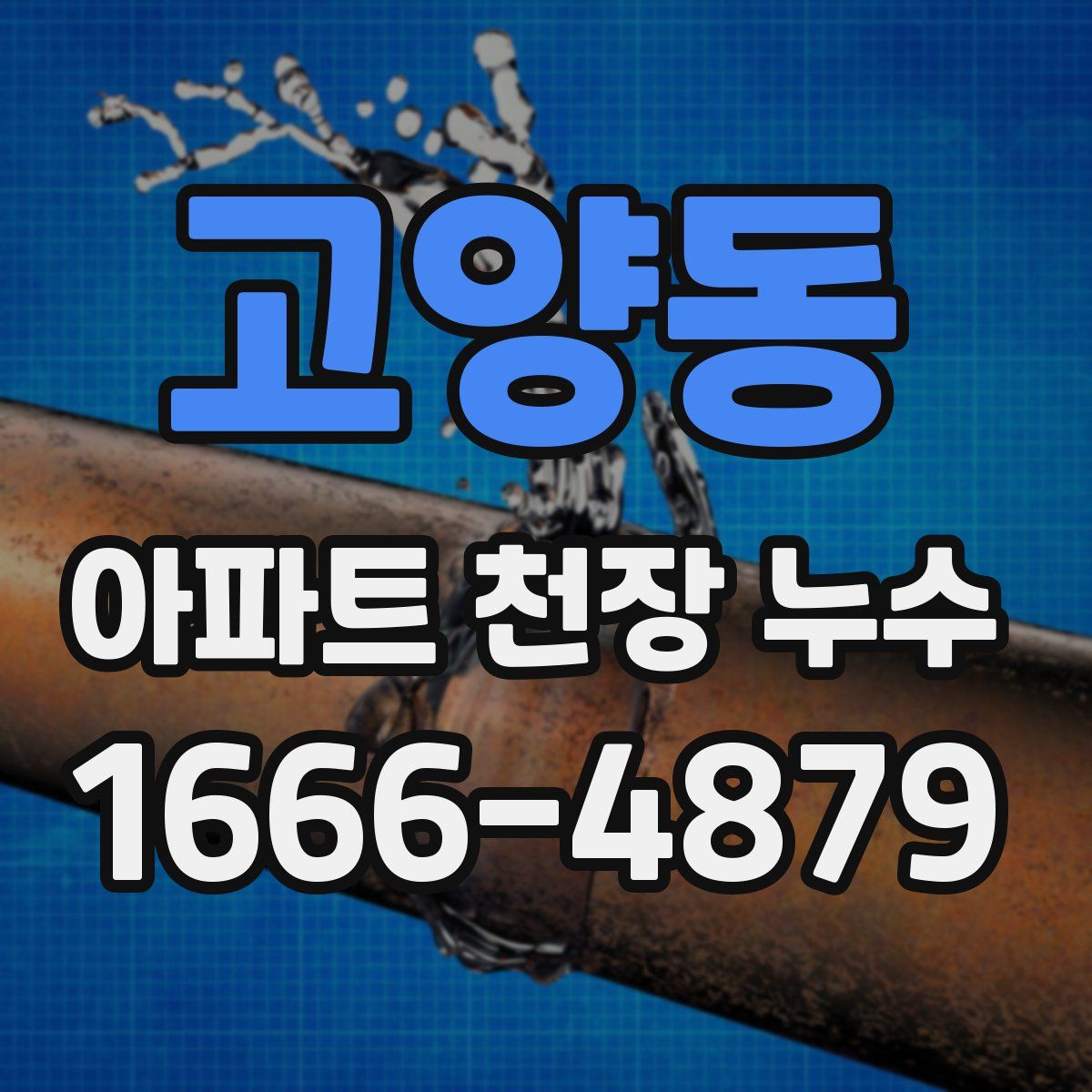 고양동 아파트 천장 누수
