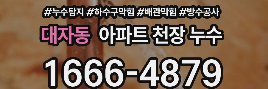 대자동 아파트 천장 누수