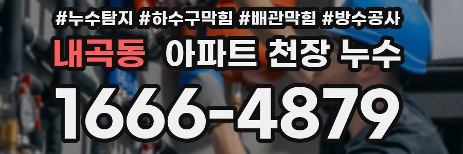 내곡동 아파트 천장 누수