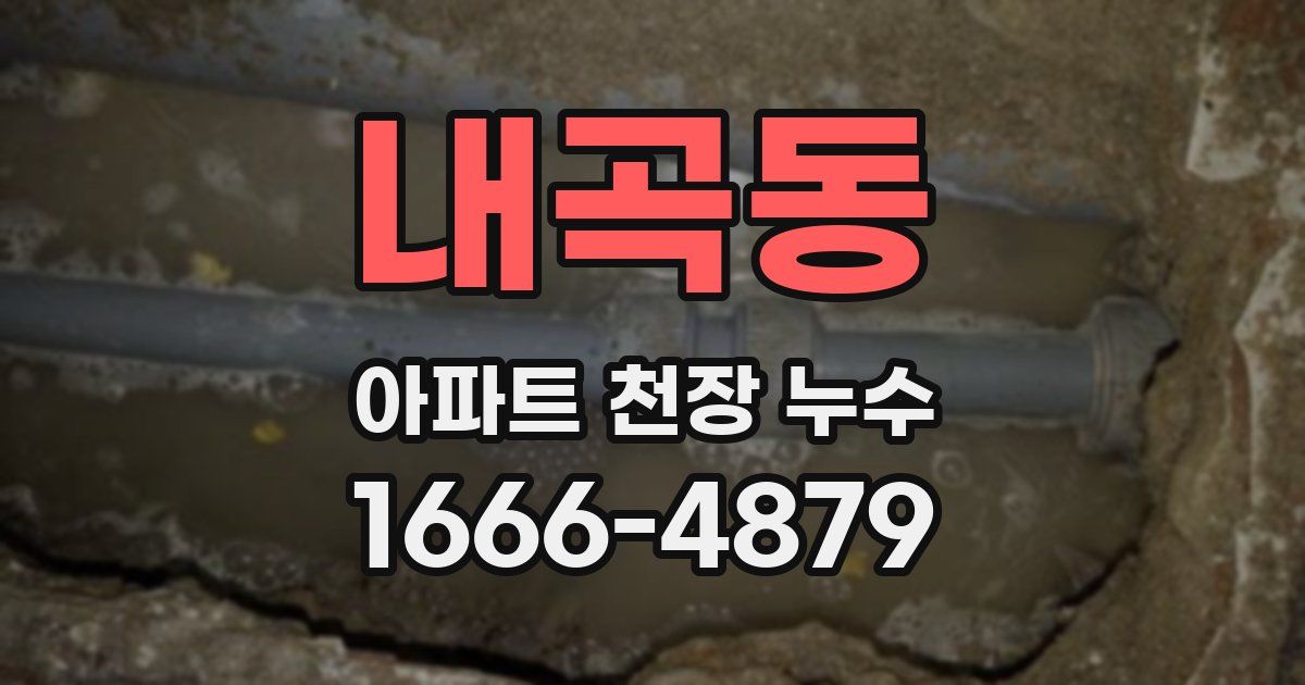 내곡동 아파트 천장 누수
