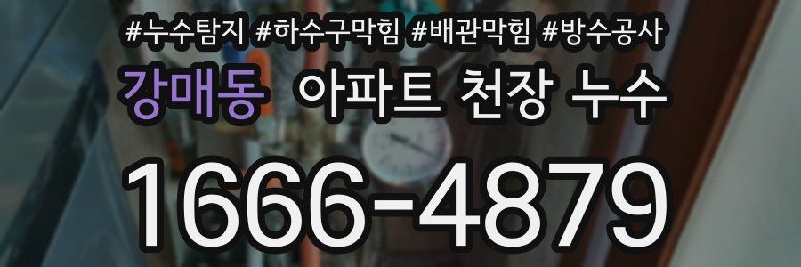 강매동 아파트 천장 누수