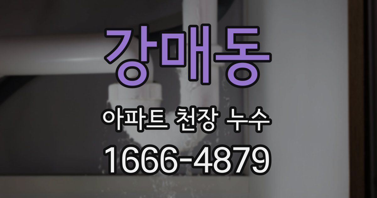 강매동 아파트 천장 누수