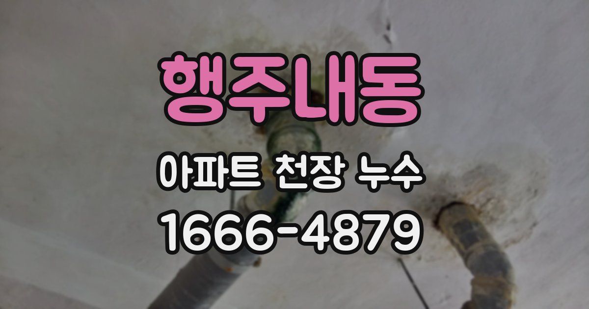 행주내동 아파트 천장 누수