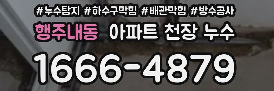 행주내동 아파트 천장 누수