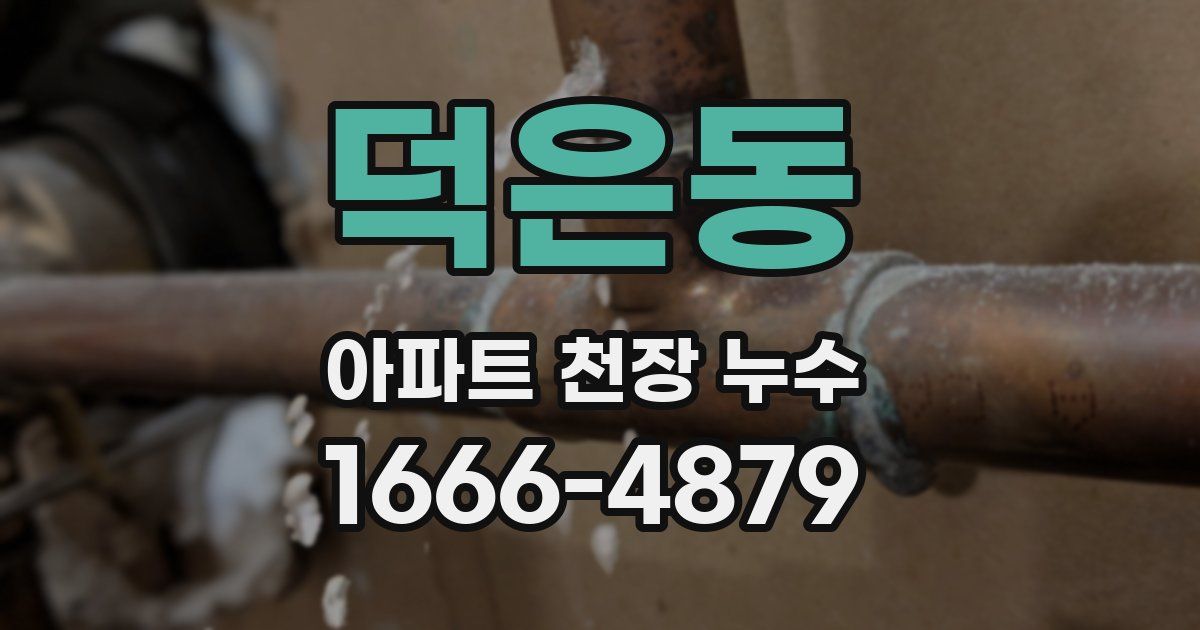 덕은동 아파트 천장 누수