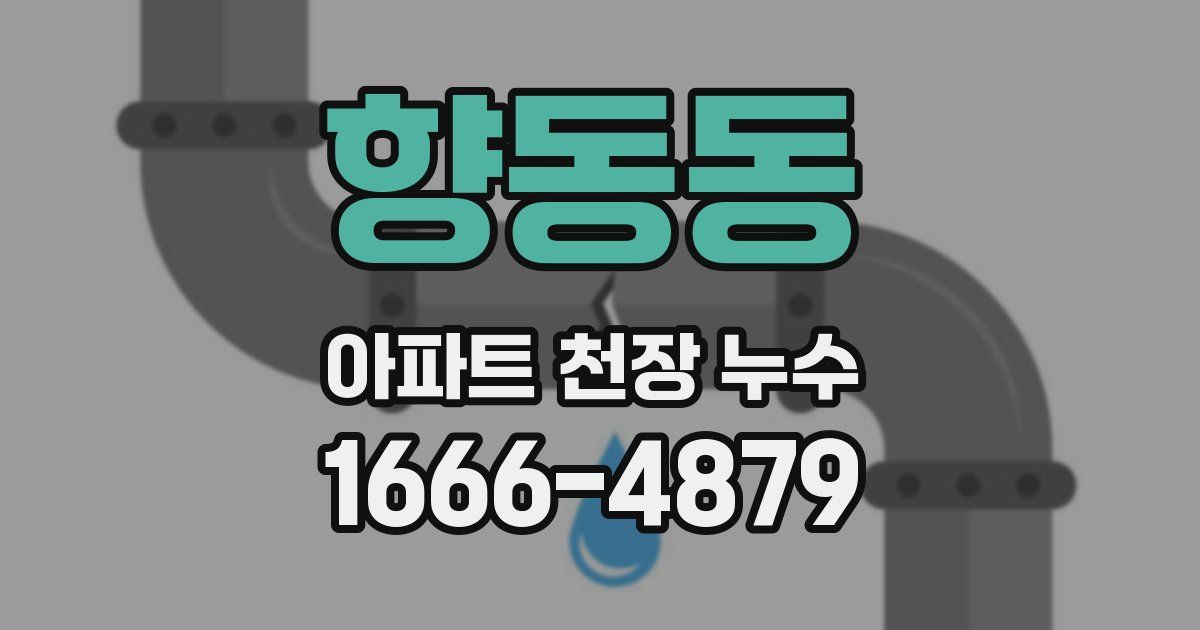 향동동 아파트 천장 누수