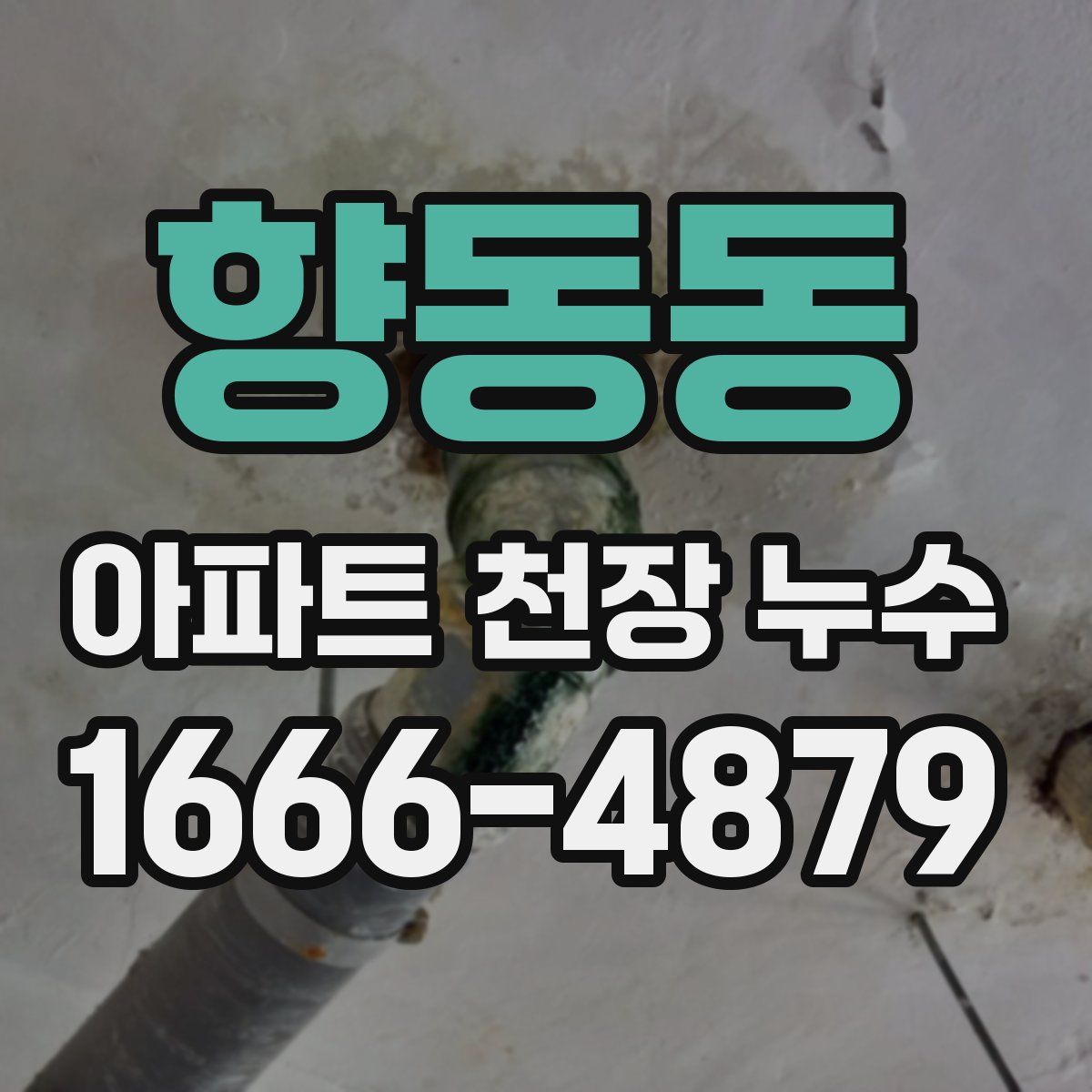 향동동 아파트 천장 누수