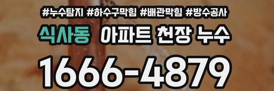 식사동 아파트 천장 누수