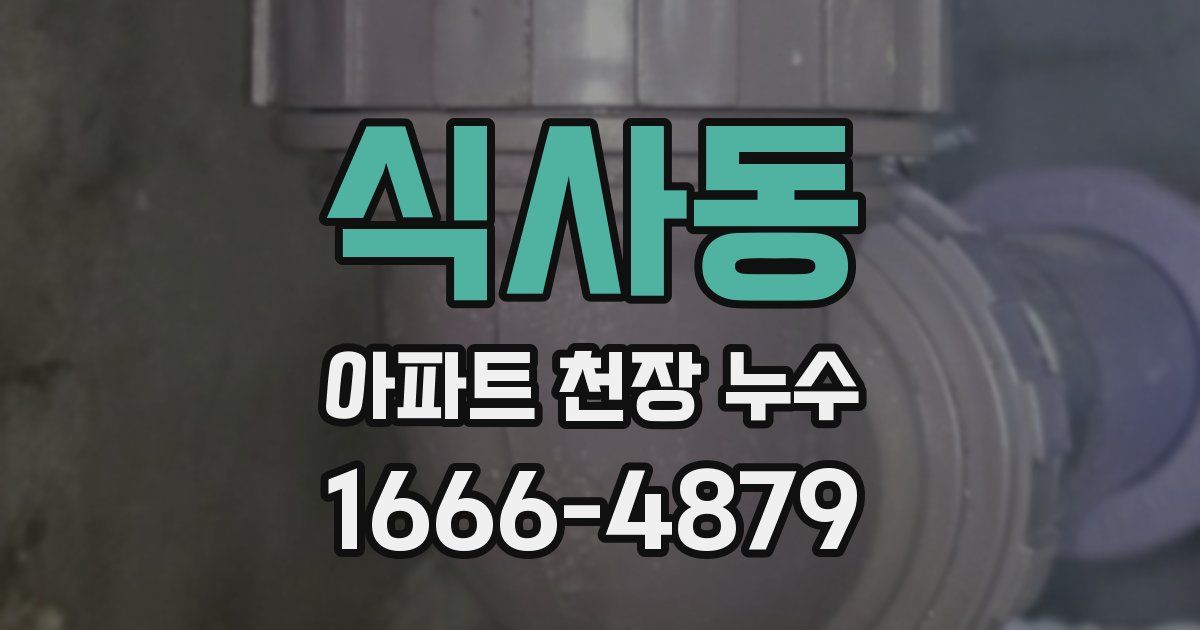 식사동 아파트 천장 누수