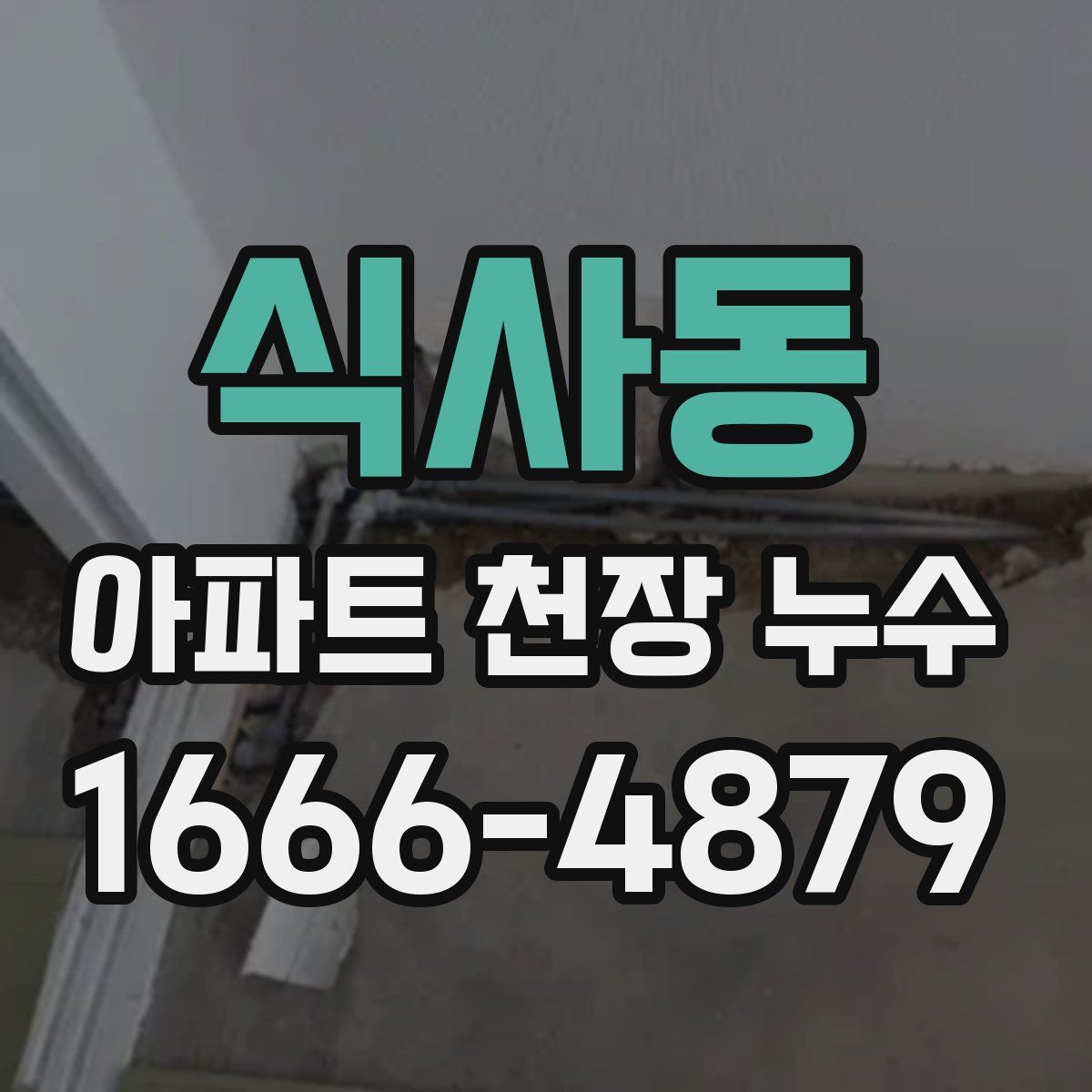 식사동 아파트 천장 누수