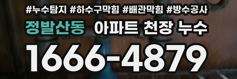 정발산동 아파트 천장 누수
