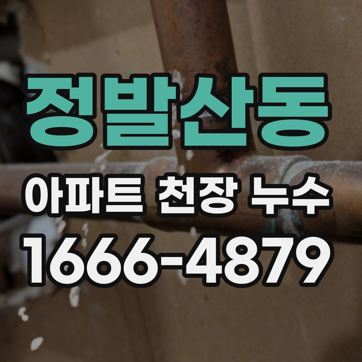 정발산동 아파트 천장 누수
