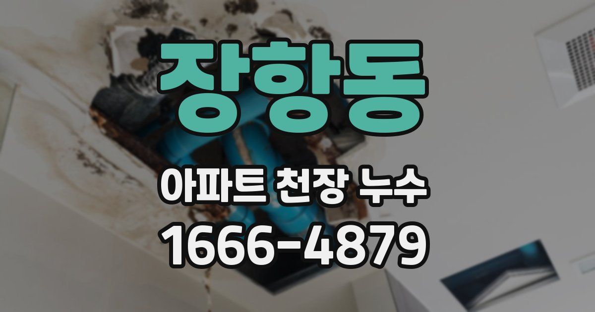 장항동 아파트 천장 누수