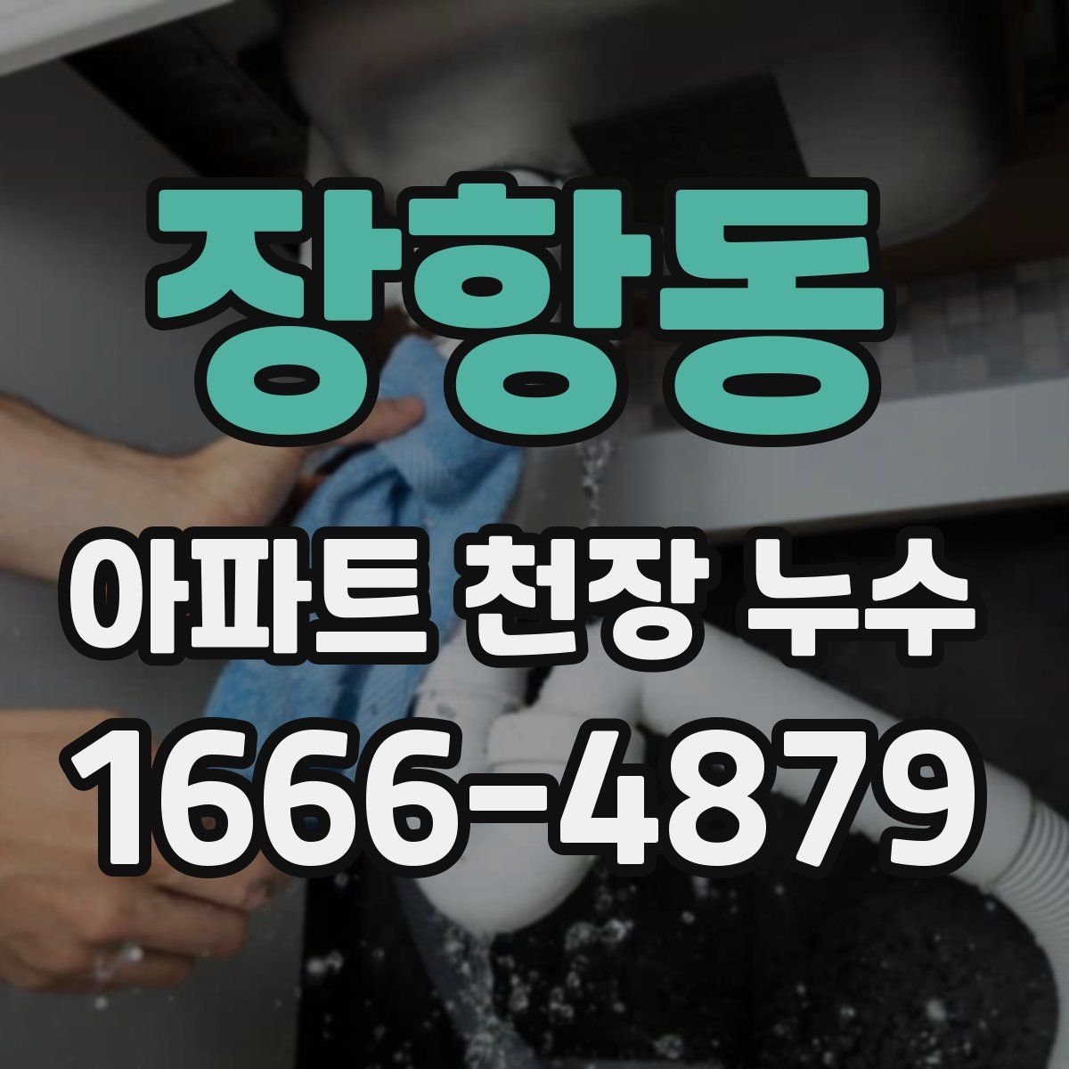 장항동 아파트 천장 누수