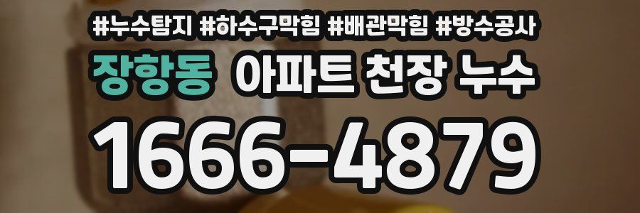 장항동 아파트 천장 누수