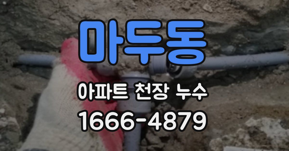 마두동 아파트 천장 누수