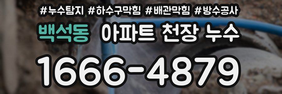백석동 아파트 천장 누수
