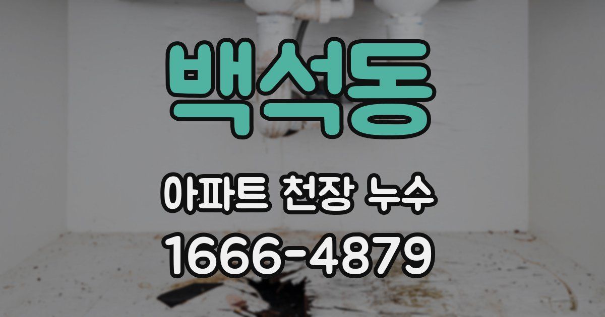 백석동 아파트 천장 누수