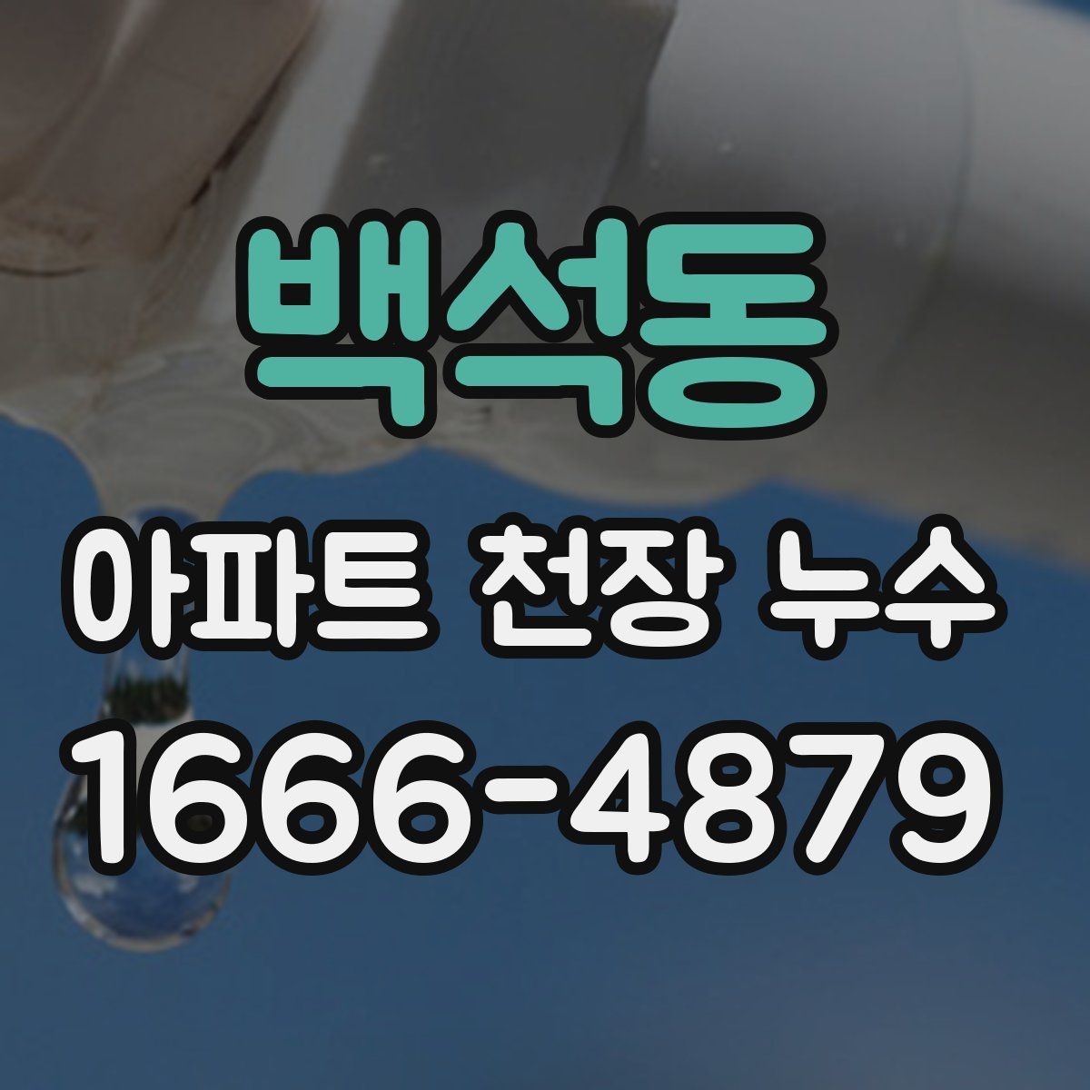 백석동 아파트 천장 누수