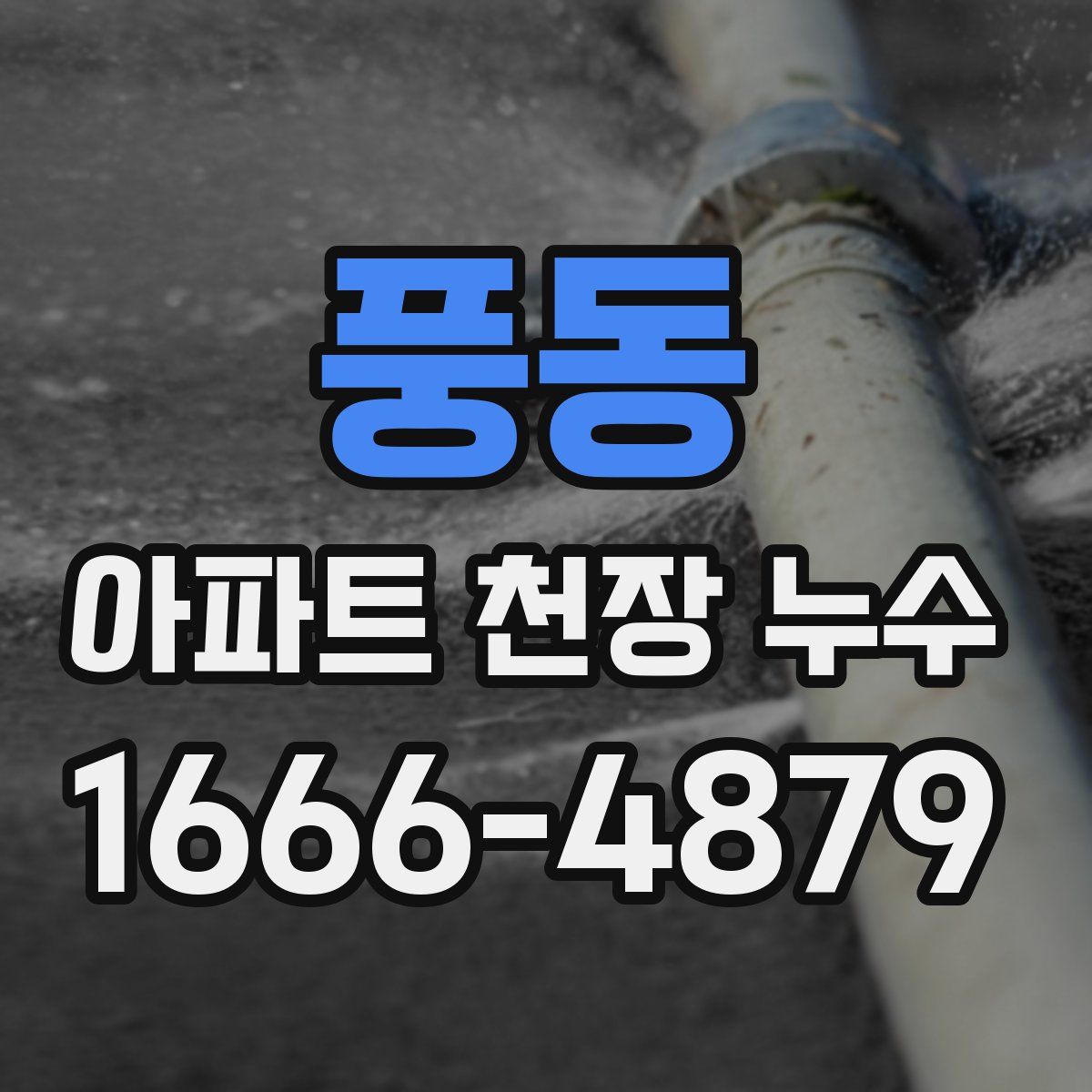 풍동 아파트 천장 누수