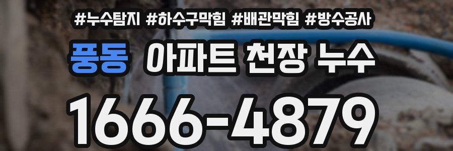 풍동 아파트 천장 누수