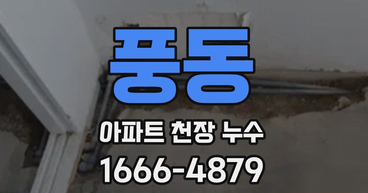 풍동 아파트 천장 누수