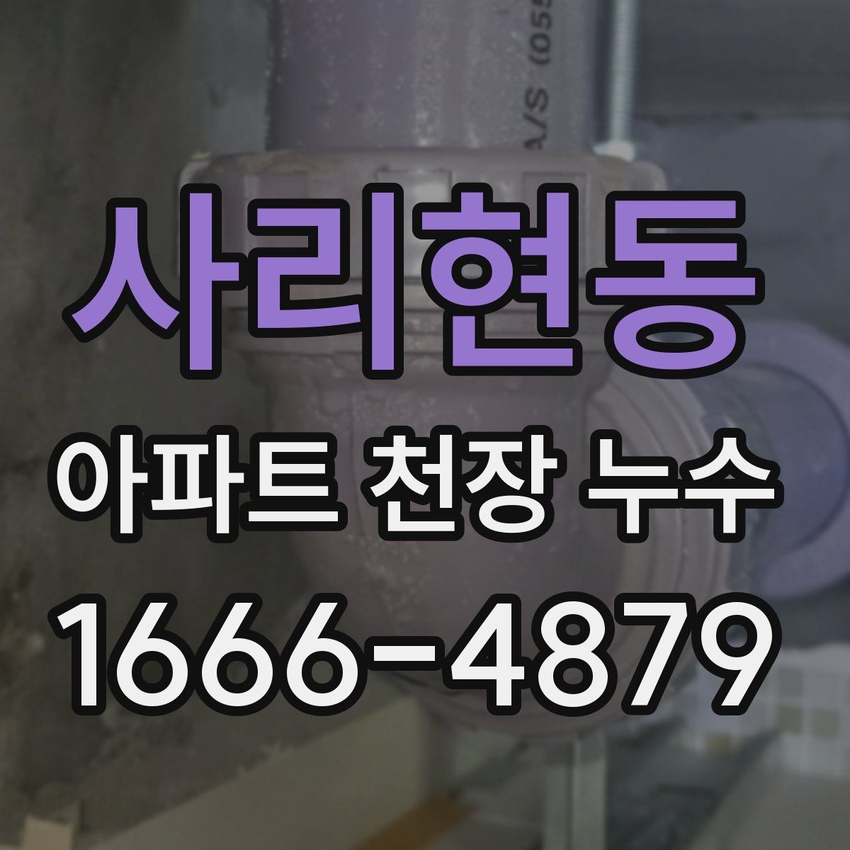 사리현동 아파트 천장 누수