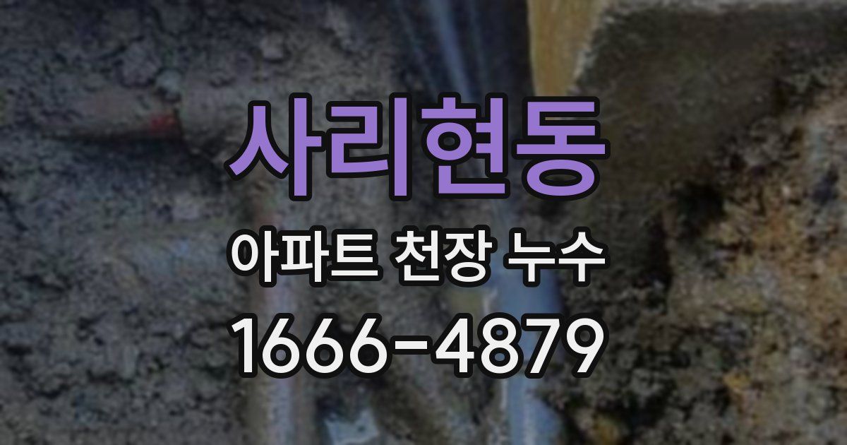 사리현동 아파트 천장 누수